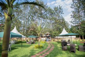 Zahrada ubytování Three Rivers Resort Maragua