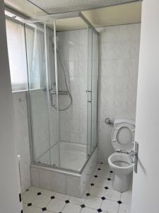 ein Badezimmer mit Dusche und Toilette in der Unterkunft Apartment in einem ehemaligen Hotel in Stuttgart