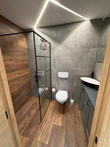a bathroom with a shower and a toilet and a sink at Le Petit Larmet in Besançon