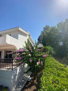 Zahrada ubytování Hotel Resort Mia&Ana + 2 fotografie