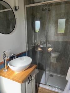 ein Badezimmer mit Waschbecken und Dusche in der Unterkunft Martins Meadow Private Wellness Escape in Ballynahinch
