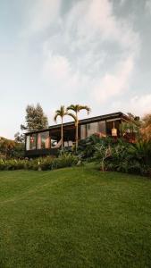 a house with palm trees in the middle of a field at Element Quindío in Boquía
