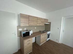 Kuchyň nebo kuchyňský kout v ubytování Apartmány U Praisů