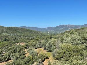 ein Blick auf einen Wald mit Bergen im Hintergrund in der Unterkunft Appartement Vue mer La Croix Valmer in La Croix-Valmer