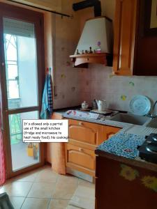 Kuchyň nebo kuchyňský kout v ubytování Room country-lake + 20 fotografií