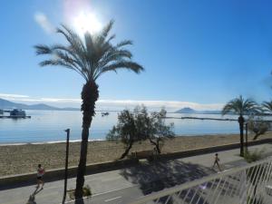 a palm tree and people walking on the beach at Harmony Seafront 365 by Can Ventet in Port de Pollensa