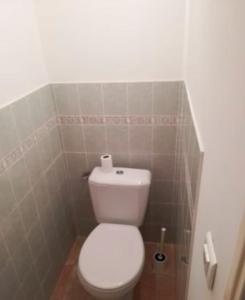 サント・クロワ・デュ・ヴェルドンにあるL'amourié, Rdc, Gîte 4 Personnesの小さな部屋にバスルーム(白いトイレ付)が備わります。