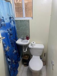 een badkamer met toilet en wastafel bij Mountain View Apartments in Gros Islet +5 foto's