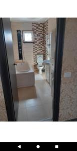 a bathroom with a toilet and a sink at Garsoniere in Târgu Jiu +13 photos