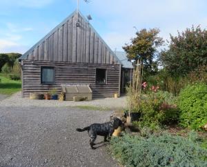オークハンプトンにあるHolland Park Farmの家の前に立つ黒犬
