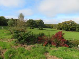 オークハンプトンにあるHolland Park Farmの木や茂みのある緑の野原