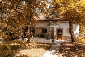 Hoone, kus apartement asub