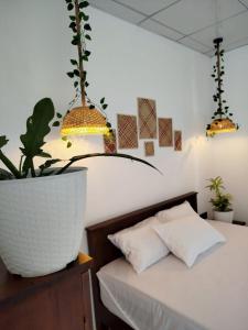 a bedroom with a bed and a potted plant at Junction 14 Villa in Dikwella North