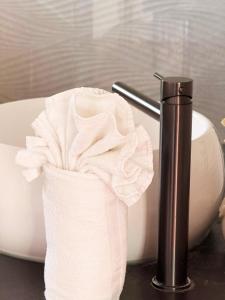 a roll of toilet paper in a holder next to a sink at La Cachette Fleurie in Hésingue +7 photos