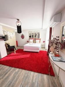 a bedroom with a large red rug and a bed at La Cachette Fleurie in Hésingue