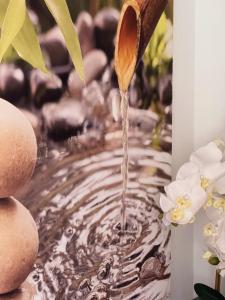 a wooden spoon dropping water into a pond with flowers at La Cachette Fleurie in Hésingue