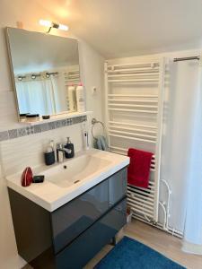 une salle de bain avec un lavabo, un miroir et une douche dans l'établissement Maison Marie Charme & confort à Rouen centre, à Rouen
