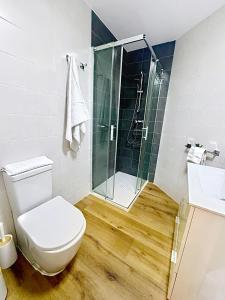 ein Badezimmer mit Toilette und Dusche in der Unterkunft Bajo reformado con terraza en Mogro in Mogro + 8 Fotos