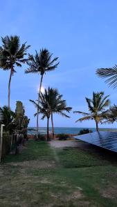 a beach with palm trees and a dock at Casa da Prosperidade in Marau