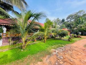 a group of palm trees in front of a house at Hamlet Beach Villas Alleppey in Alleppey