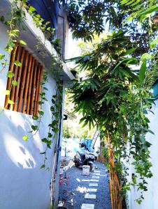 a garden with a motorcycle parked next to a building at Junction 14 Villa in Dikwella North +13 photos