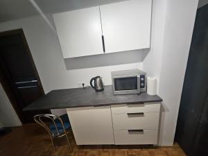 a kitchen with a counter top with a microwave at Apartament 3 in Biała Podlaska