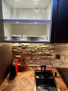 a kitchen with a sink and some plates in a cabinet at Zermatt Apartment in Zermatt