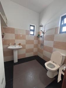 une salle de bains avec toilettes et lavabo dans l'établissement Soley, à Port-Louis