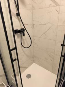 a shower with a glass door in a bathroom at Studio am Waldrand in Bad Hersfeld