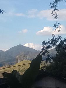 埃拉New Grand Mud的一个人站在窗台上，一只手插在树干里。