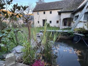 Vườn quanh Saures