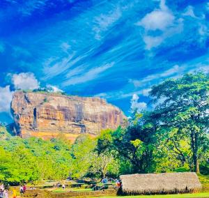 Příroda nedaleko penzionu