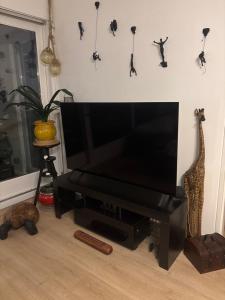 TV a/nebo společenská místnost v ubytování Chambre à louer