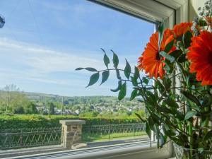 Un jarrón con flores en una ventana con vistas. en Glan Wye, en Rhayader