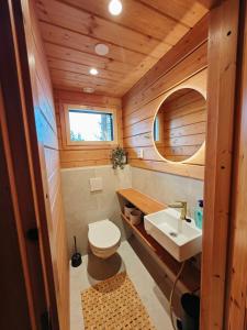 een kleine badkamer met toilet en wastafel bij Rukan Tunturipöllö in Kuusamo