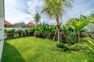a yard with a palm tree in the grass at Bali Bliss - New 2BR Villa with Private Pool & Green Garden Views in Ungasan