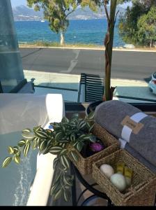 Billede fra billedgalleriet på KLA SUITES by PROJECT 86 IKE i Nikiana + 109 billeder