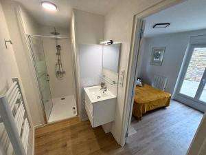 a bathroom with a sink and a shower and a mirror at Maison Centre Ville - Saint-James in Saint-James +11 photos