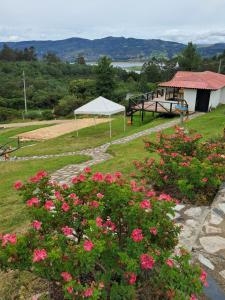 a gazebo with a tent and pink flowers at Suit Encanto Dorado in Guatavita