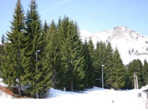 Gallery image of Appartement 2 pièces au cœur du village, proche pistes, 6 pers - FR-1-815-20 in Le Praz de Lys +2 photos