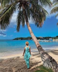 Peisaj natural din apropierea acestui hotel