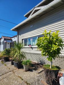 Bygningen som lejligheden ligger i