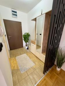 a hallway with a door and a mirror and a rug at Apartman EMA in Požarevac