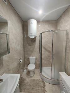 ein Badezimmer mit Dusche, Toilette und Waschbecken in der Unterkunft New Comfort Apartment in Hostomelʼ
