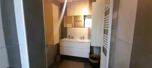 a small bathroom with a sink and a toilet at Le St Roch - appart 6-8 pers - wifi - centre ville in Issoudun