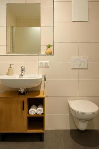 een badkamer met wastafel en toilet bij Allgäu Suites - Innenstadt, Schlafzimmer, Küche, Parkplatz möglich, Dachterrasse in Kempten