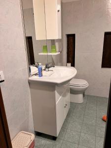 een badkamer met een wastafel en een toilet bij Agriturismo I Due Mondi in Montone