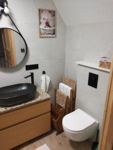 Koupelna v ubytování Siedem Światów Domek