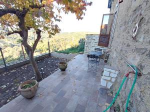 a patio with a tree and a hose at La Dimora di Dida in Seggiano +41 photos