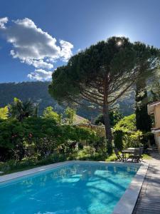 a swimming pool in front of a house with a tree at Chambres d'Hôtes - Le Pin des Arches in Digne-les-Bains